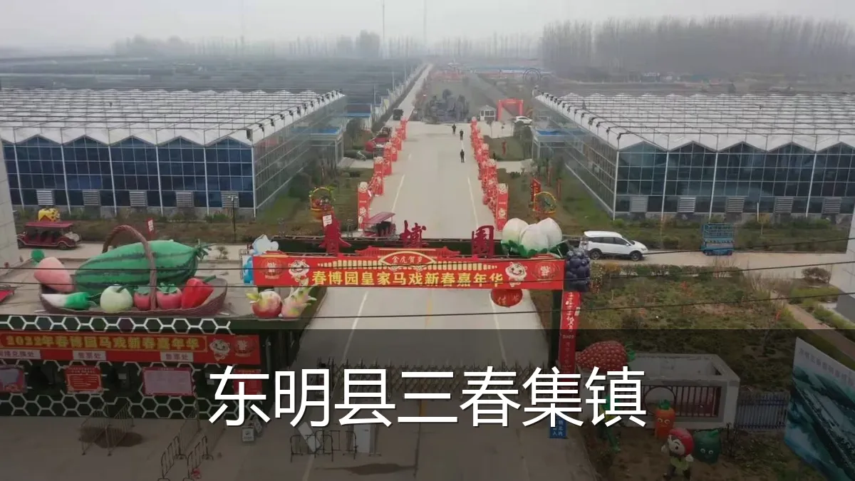 东明县三春集镇