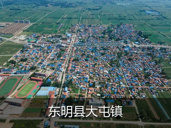 东明县大屯镇