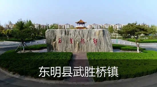 东明县武胜桥镇